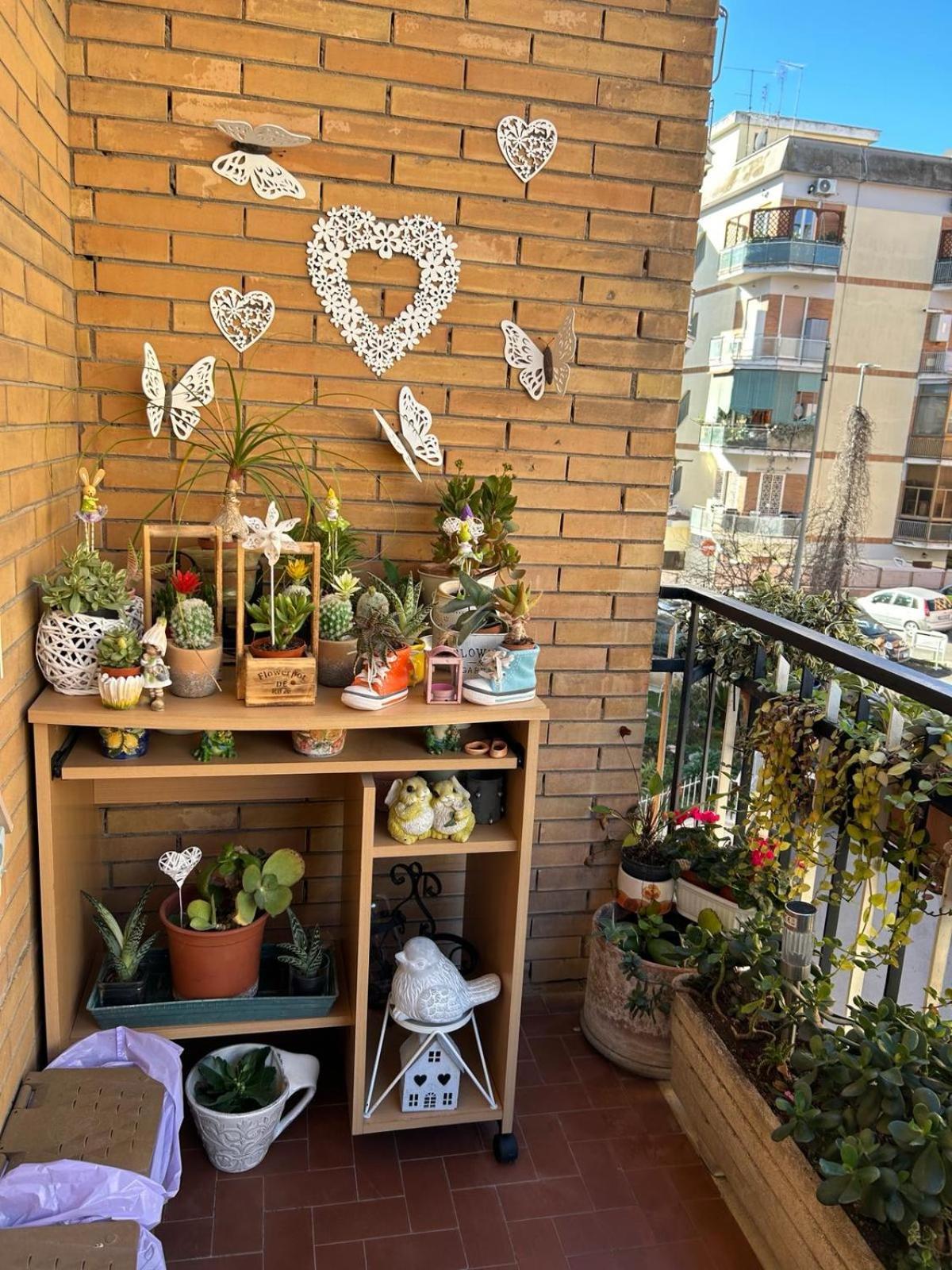Semini Di Nostalgia Appartamento