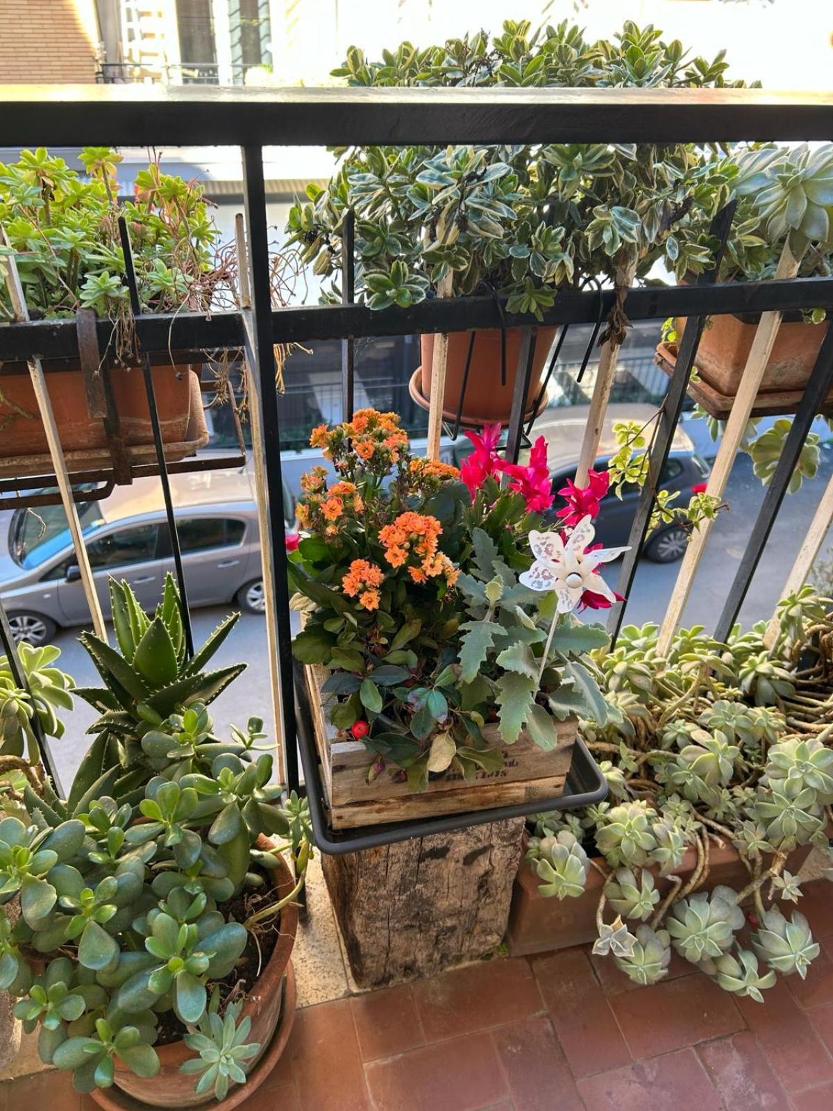 Semini Di Nostalgia Apartamento *